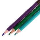 Карандаши цветные 36 цветов 18 штук Twincolor Happy, МИКС - Фото 4
