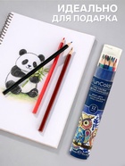 Карандаши цветные 12 цветов Funcolor пластиковые, в картонной тубе, МИКС - Фото 2