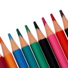 Карандаши цветные 12 цветов Funcolor пластиковые, в картонной тубе, МИКС - Фото 8