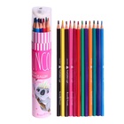 Карандаши цветные 12 цветов Funcolor пластиковые, в картонной тубе, МИКС - Фото 12