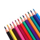 Карандаши цветные 12 цветов Funcolor пластиковые, в картонной тубе, МИКС - Фото 10
