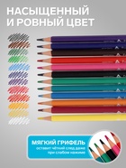 Карандаши цветные 12 цветов Funcolor пластиковые, в картонной тубе, МИКС - Фото 3