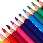 Карандаши цветные 12 цветов Funcolor пластиковые, в картонной тубе, МИКС - Фото 14