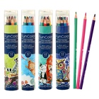 Карандаши цветные 12 цветов Funcolor пластиковые, в картонной тубе, МИКС - Фото 4