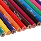 Карандаши цветные 12 цветов Funcolor пластиковые, в картонной тубе, МИКС - Фото 6