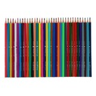 Карандаши цветные 36 цветов Funcolor пластиковые, в картонной тубе, МИКС - Фото 3