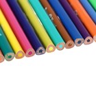 Карандаши цветные 36 цветов Funcolor пластиковые, в картонной тубе, МИКС - фото 7270733
