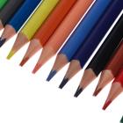Карандаши цветные 36 цветов Funcolor пластиковые, МИКС - Фото 5