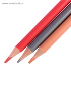 Карандаши цветные 36 цветов Funcolor пластиковые, МИКС - Фото 6