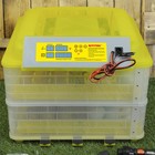 Инкубатор с терморегулятором, гигрометром и автопереворотом, вместимость до 112 яиц, овоскоп - Фото 2