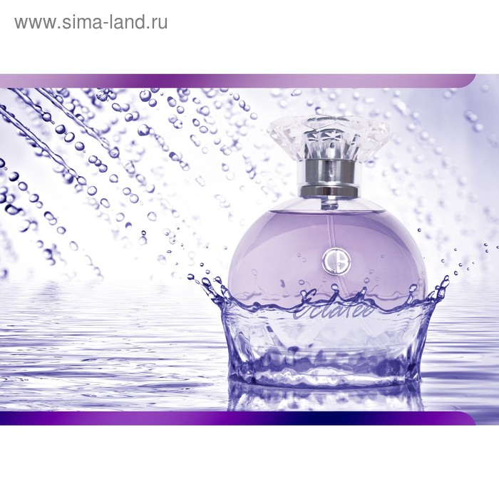 Парфюмированная вода женская Carlo Bossi Eclatee Violet, 100 мл - Фото 1