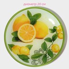 Тарелки Доляна «Дольче», 19 предметов: 6 десертных тарелок, 6 обеденных тарелок, 6 мисок, салатник, стекло, зелёные, жёлтые - Фото 5