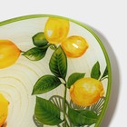 Блюдо стеклянное сервировочное овальное Доляна «Дольче», 24,5×15×2 см - Фото 6
