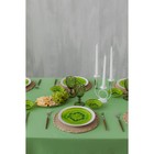 Блюдо стеклянное сервировочное овальное Доляна «Романтичный киви», 24,5×15 см, цвет зелёный - фото 4298311