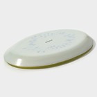 Блюдо сервировочное стеклянное овальное Доляна «Романтичный киви», 24.5×15 см, зелёное - Фото 5