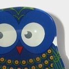 Блюдо стеклянное сервировочное Доляна «Задумчивые совы», 18×13,1×1,9 см, цвет синий - фото 4298413