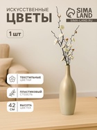 Белый