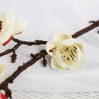 Цветы искусственные "Веточка сакуры" 2,5х42 см, белый - Фото 2