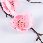 Цветы искусственные "Веточка сакуры" 2,5х42 см, розовый - Фото 2