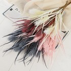 Букет "Еловые веточки с травой" 39 см, микс - фото 24521622