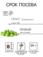 Семена Горох 1+1 «Никитка», 25 г, «Гавриш» - Фото 2