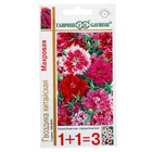 Семена цветов Гвоздика китайская махровая 1+1, ц/п, смесь 0,4 г - Фото 1