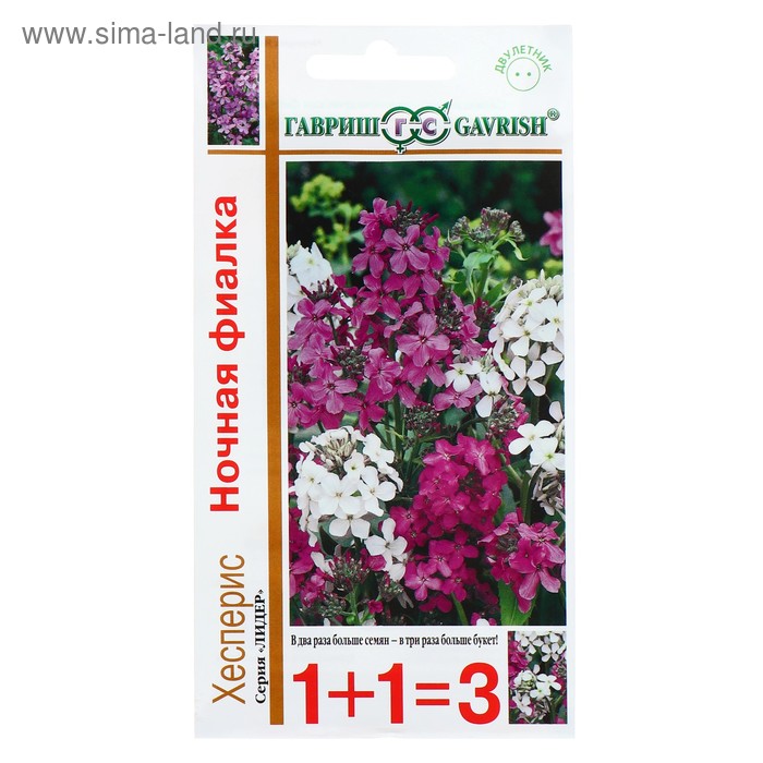 Семена цветов Хесперис "Ночная фиалка", ц/п, 0,4 г - Фото 1