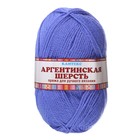 Пряжа "Аргентинская шерсть" 100% импортная п/т шерсть 200м/100гр (017 лесной колокольчик.) - Фото 2