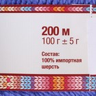 Пряжа "Аргентинская шерсть" 100% импортная п/т шерсть 200м/100гр (017 лесной колокольчик.) - Фото 3