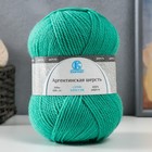 Пряжа "Аргентинская шерсть" 100% импортная п/т шерсть 200м/100гр (025,мята) - Фото 2