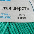 Пряжа "Аргентинская шерсть" 100% импортная п/т шерсть 200м/100гр (025,мята) - Фото 4