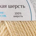 Пряжа "Аргентинская шерсть" 100% импортная п/т шерсть 200м/100гр (001,суровый) - Фото 4