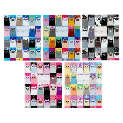 Тетрадь 12 листов в клетку «Котомания», обложка мелованная бумага, МИКС