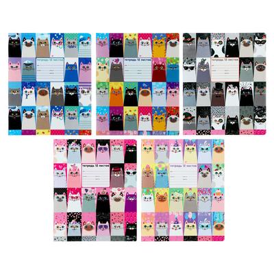 Тетрадь 12 листов линейку «Котомания», обложка мелованная бумага, МИКС