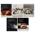 Тетрадь 48 листов в клетку "Приколы. Кошачьи мечты", обложка мелованный картон, гибридный лак, МИКС - фото 8943900