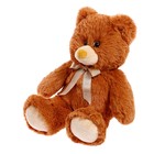 Мягкая игрушка «Медведь Тедди», 40 см, МИКС - Фото 4