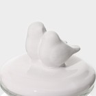 Банка для сыпучих Доляна «Голубки», 500 мл, 11×17 см, с керамической крышкой, стекло, прозрачная - Фото 9