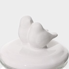 Банка для сыпучих Доляна «Голубки», 500 мл, 11×17 см, с керамической крышкой, стекло, прозрачная - Фото 9