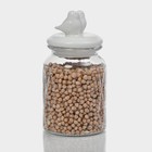 Банка стеклянная для хранения сыпучих продуктов Доляна «Голубки», 800 мл, 11×20 см, с керамической крышкой - Фото 5