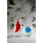 Бутыль стеклянная для соусов и масла 2 в 1 «Фьюжн. Перчик», 100/400 мл, 9,5×5,5×17,5 см - фото 25645112