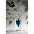 Бутыль стеклянная для соусов и масла 2 в 1 «Фьюжн. Виноград», 100/350 мл, 10,5×10,5×19,5 см - фото 25348003