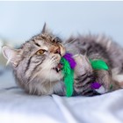 Игрушка Petstages Dental "Капуста" для кошек, с кошачьей мятой, 20 см - Фото 3