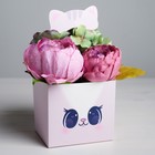 Коробка для цветов с топпером «Котик», 11 х 12 х 10 см - фото 8945267