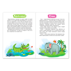 Книга «Дикие животные» 12 стр. - Фото 3