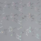 Пленка для цветов «Красота цветов», серебряная, 58 см × 5 м - Фото 3