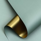 Пленка для цветов «Пленка с золотом», серо-зелёная, 0.57×5 м ±5% см - Фото 1
