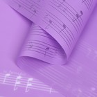 Пленка для цветов "Ноты", цвет пурпурный, 58 см х 5 м - Фото 1