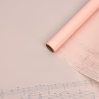Пленка для цветов "Ноты", цвет персиковый, 58 см х 5 м - Фото 2