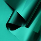 Пленка для цветов "Глянец", зеленый, 58 см х 5 м - Фото 1