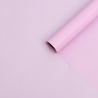 Бумага тишью водоотталкивающая, цвет светло-розовый, 58 см х 5 м 19 микрон - фото 9562506